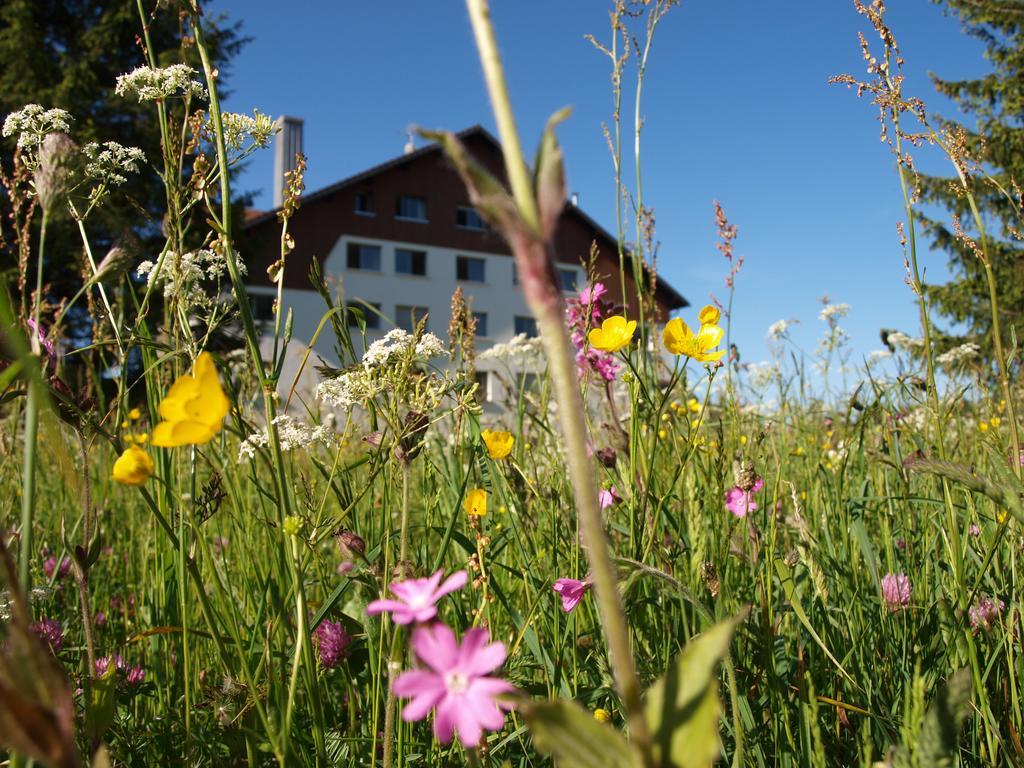 La Roche Du Tresor Village Vacances Longevilles-Mont-dʼOr Buitenkant foto